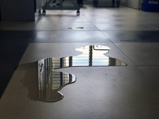 Best Water damage restoration near me  in Franklin, WI