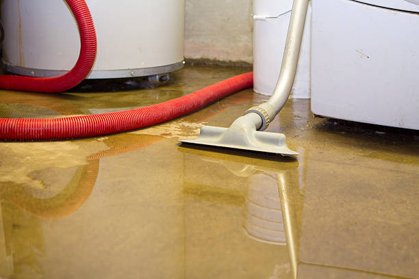 Best Flooded house restoration  in Franklin, WI