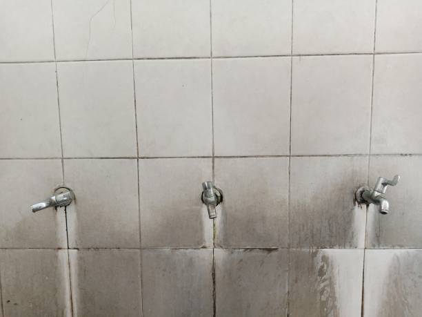 Best Water damage restoration near me  in Franklin, WI