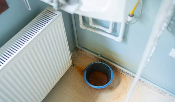Best Water damage restoration experts  in Franklin, WI