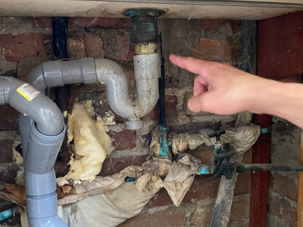 Best Carpet water damage restoration  in Franklin, WI