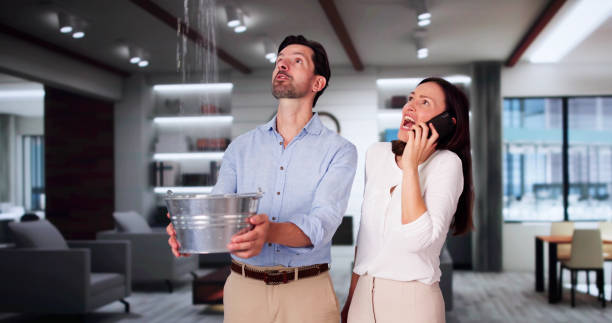 Best Flood restoration services  in Franklin, WI