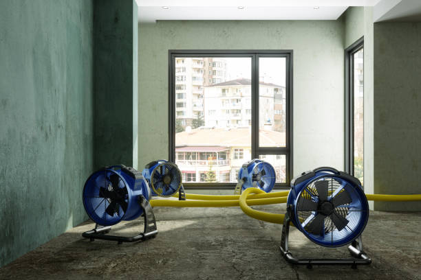 Best Flood restoration services  in Franklin, WI