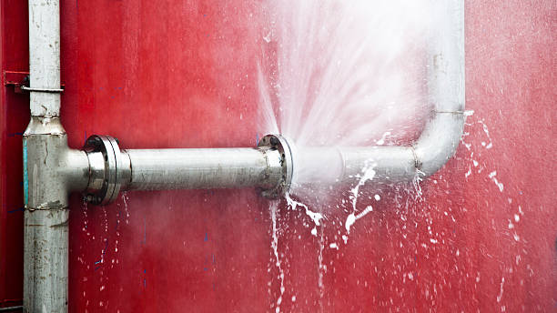 Best Sewage cleanup and water damage restoration  in Franklin, WI
