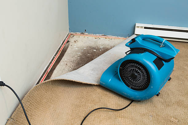 Best Residential water damage restoration  in Franklin, WI