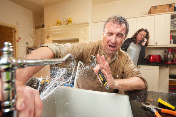 Best 24/7 water damage repair  in Franklin, WI